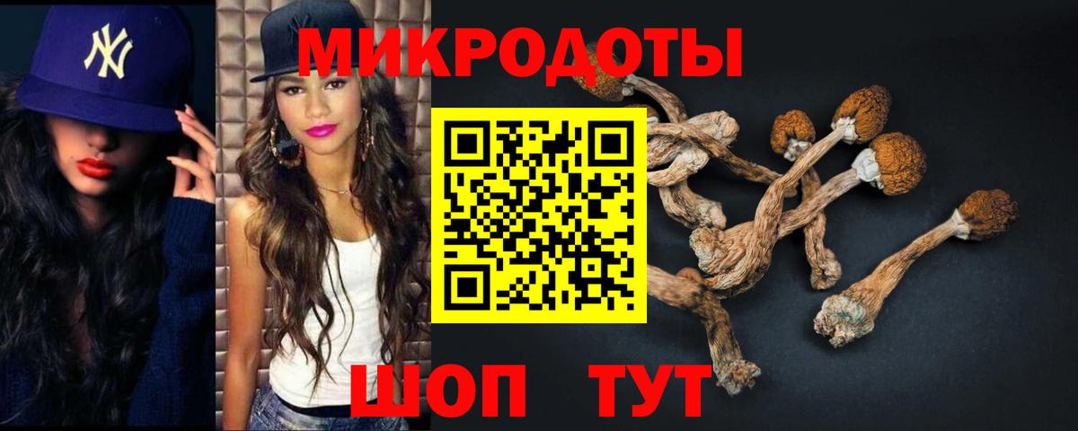 Псилоцибиновые грибы Psilocybine cubensis Унеча