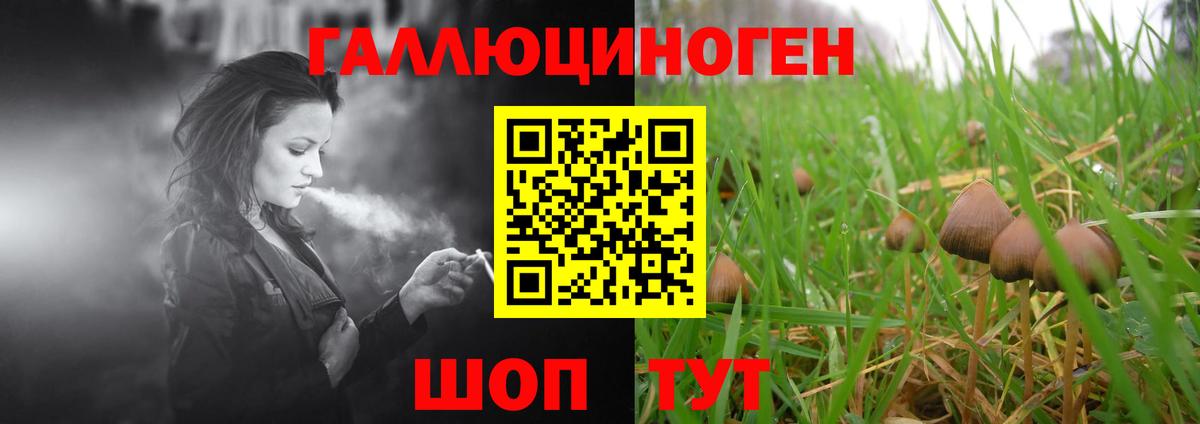 Унеча  Галлюциногенные грибы GOLDEN TEACHER  Вход с VPN  Псилоцибиновые грибы мухоморы 